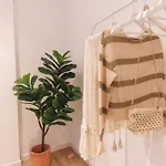 Bravissimo Jaume 31, Monthly * ジローナ